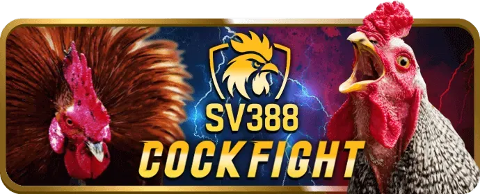 Cá Cược Thể Thao anto247 win